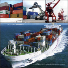 Container Sea Freight / Freight Forwarding Company à Dubai Emirats Arabes Unis